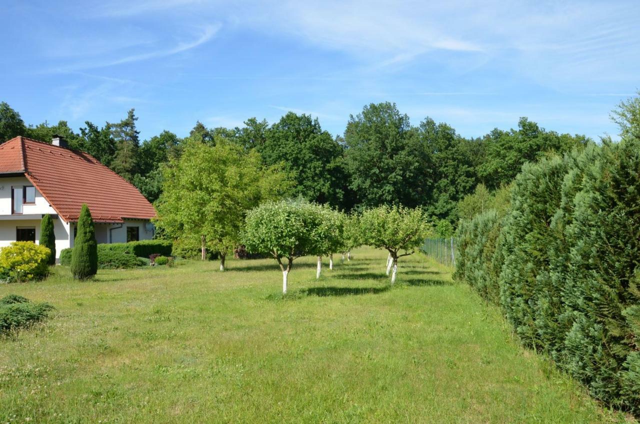 Kwatery Przy A4 Dabrowa Boleslawiecka Exterior photo